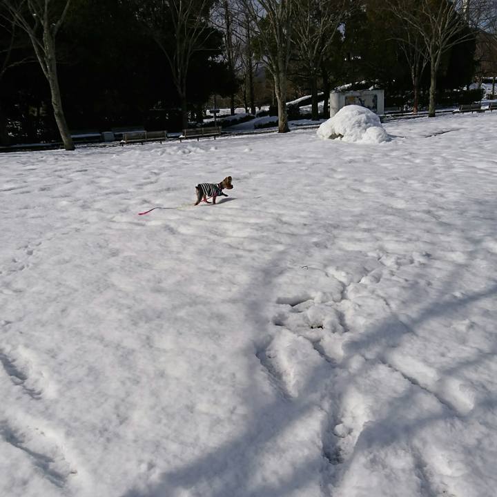 15f2ea77 947e 4941 96ed 2167688eabd2