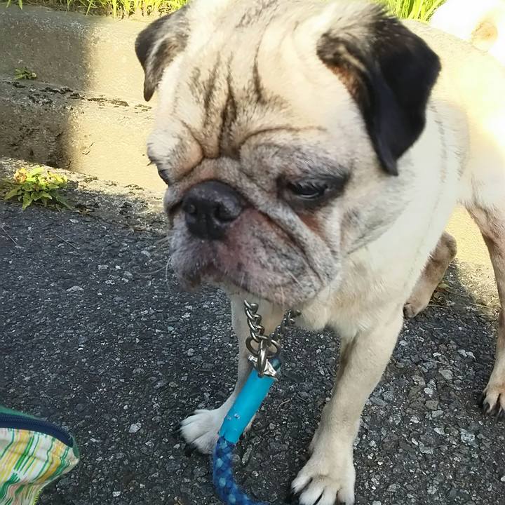 15f3366a 5e59 493b b159 bee74e09554b