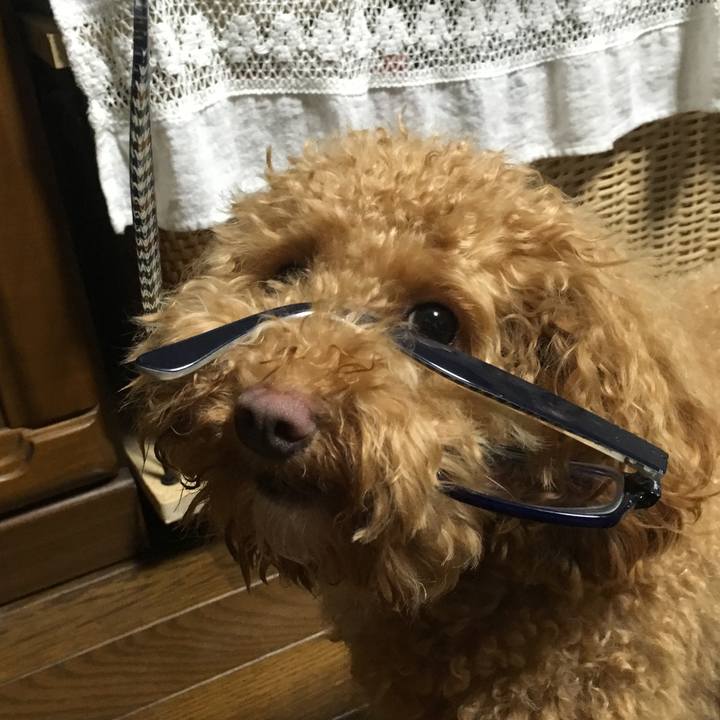 15f36a66 1c0c 4c15 b868 09cbea2ab304