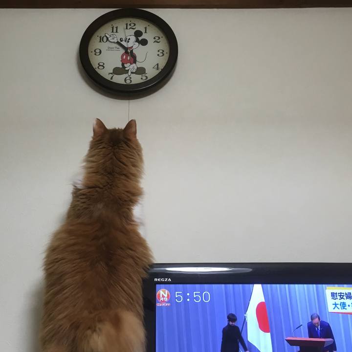 15f37d83 b0ff 4bf6 9d68 14628df2815d