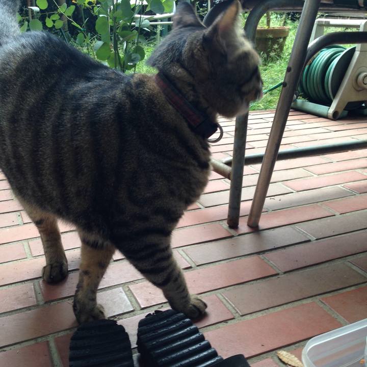 15f37e8e 31ef 4512 8e2b 374471163d13