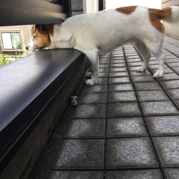 15f40438 67d1 4354 accd c0170c03f5e0