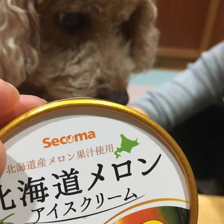 15f45d2d 05e7 4f97 a4b5 58b8fbde80f6