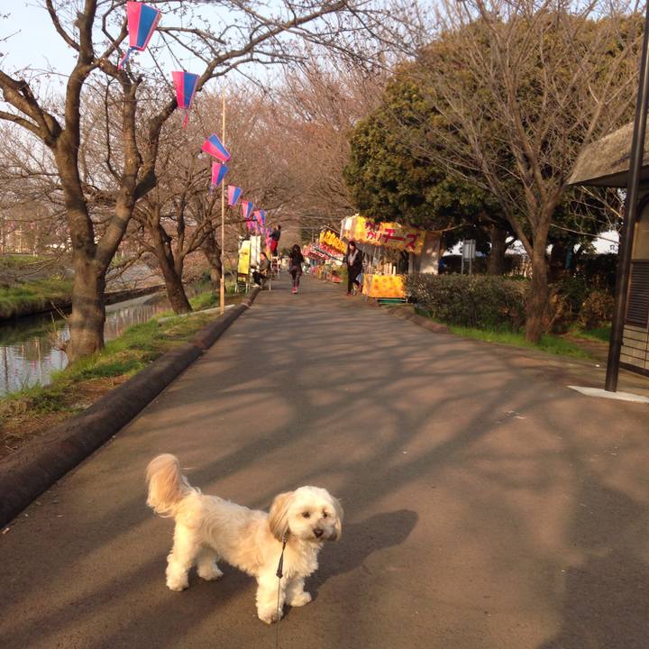 15f4aa6c df20 4a0d b7b4 b3ca1b3a3204