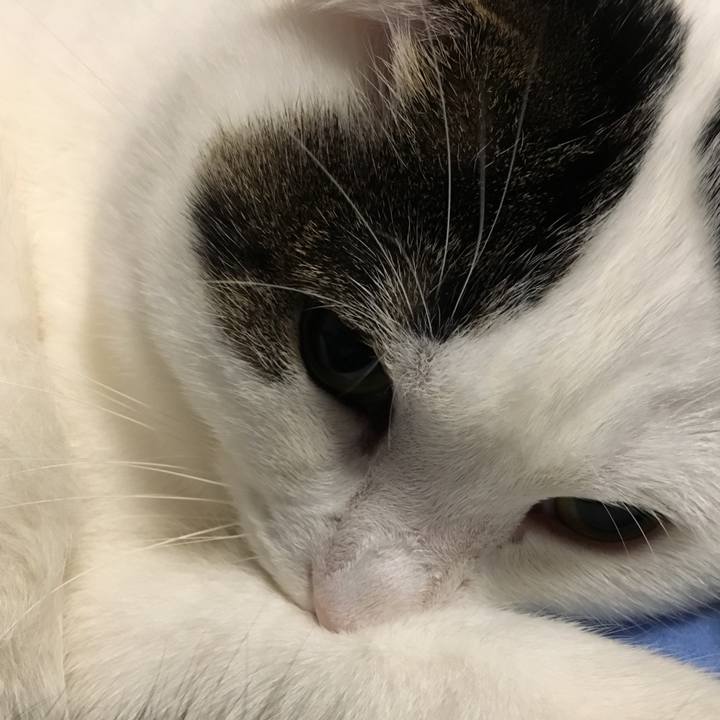 15f5d2f3 8b73 4ac6 a446 7a6da137eb69