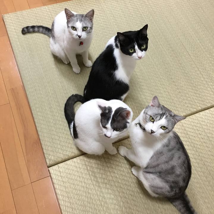 15f69471 4936 47d4 826d de4d8fabba12