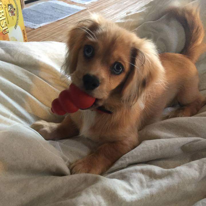 15f69904 5115 4185 96d0 9971220bcaad