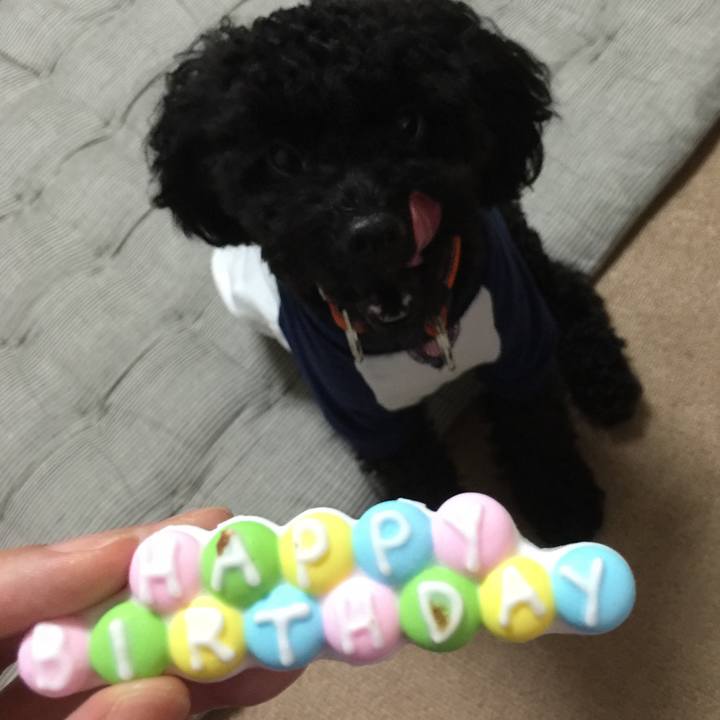 15f6ab43 aa31 4905 8488 4d3697166f97