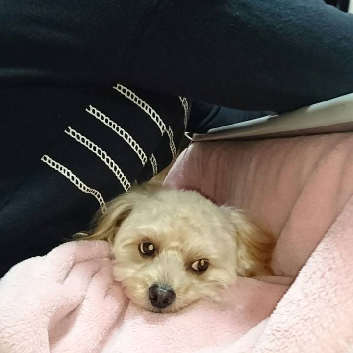 15f6d161 9103 4af4 aca7 399476b9e449