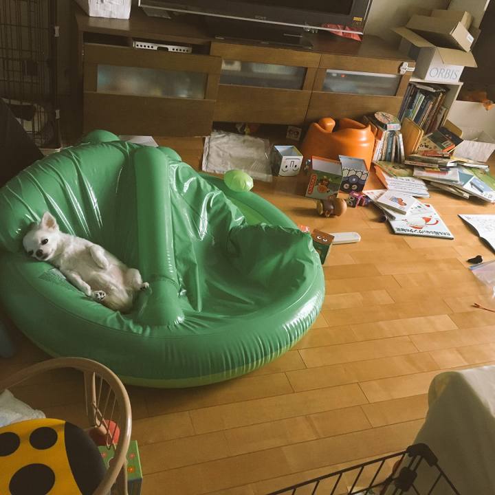 15f72efc 29df 4ad1 88da 5fb4edc22e7c