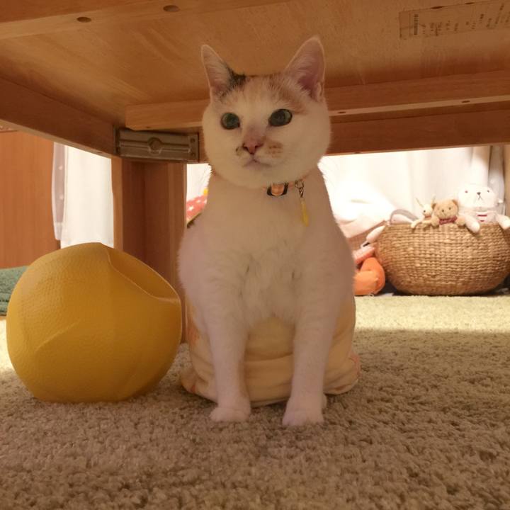 15f7378d dc75 4db9 88bb a93aa951128f