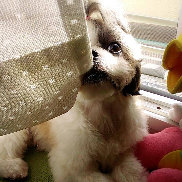 15f7e129 540f 4791 ac42 8e4ebccd5eca