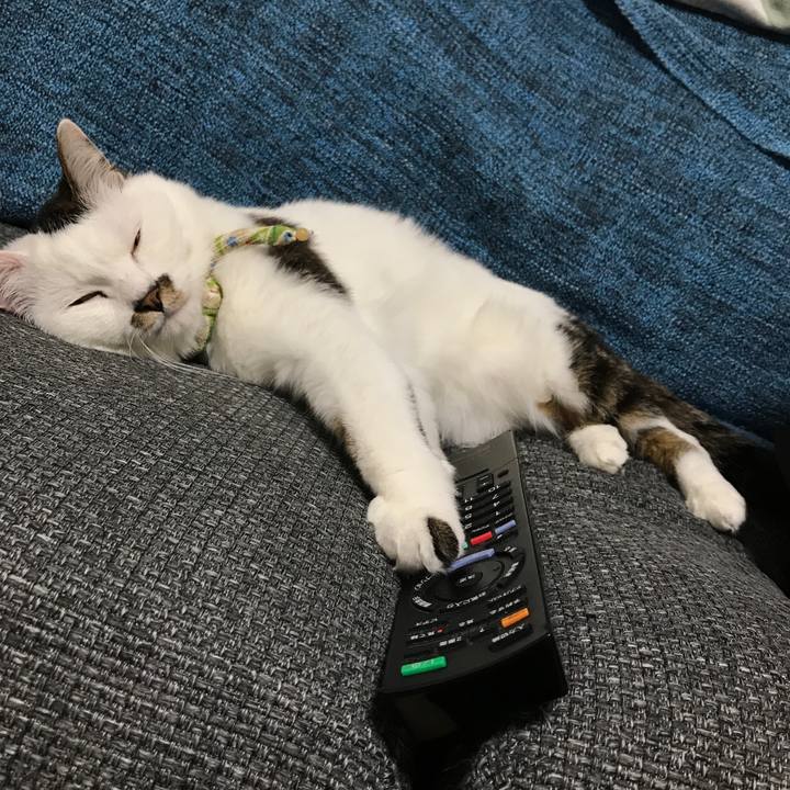 15f8148d 9447 46b0 9f5e b9a976b93bb9