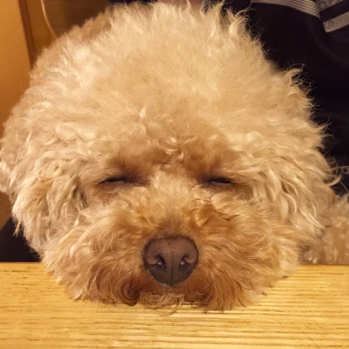 15f88026 16d0 4f5d 8fad 5e605c138876