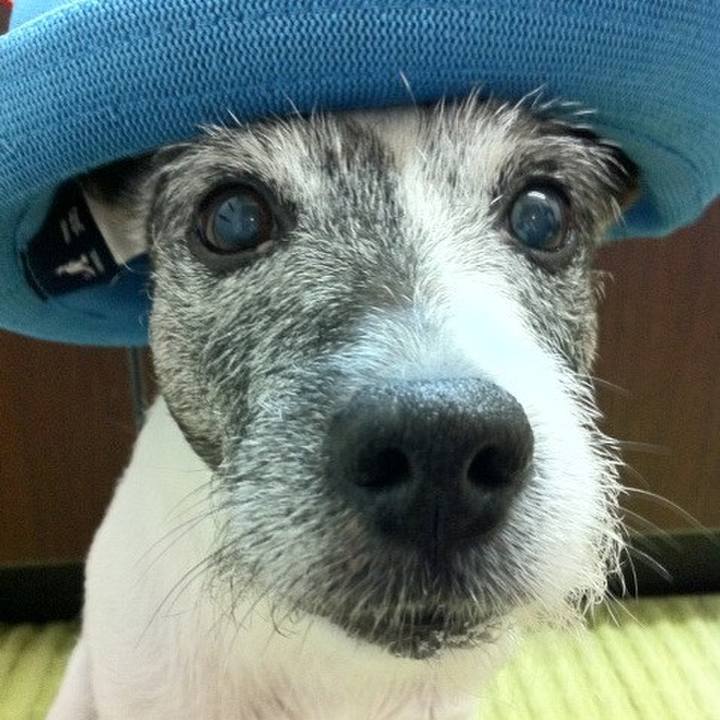 15f885dd 962d 4179 a775 0abd5453b318