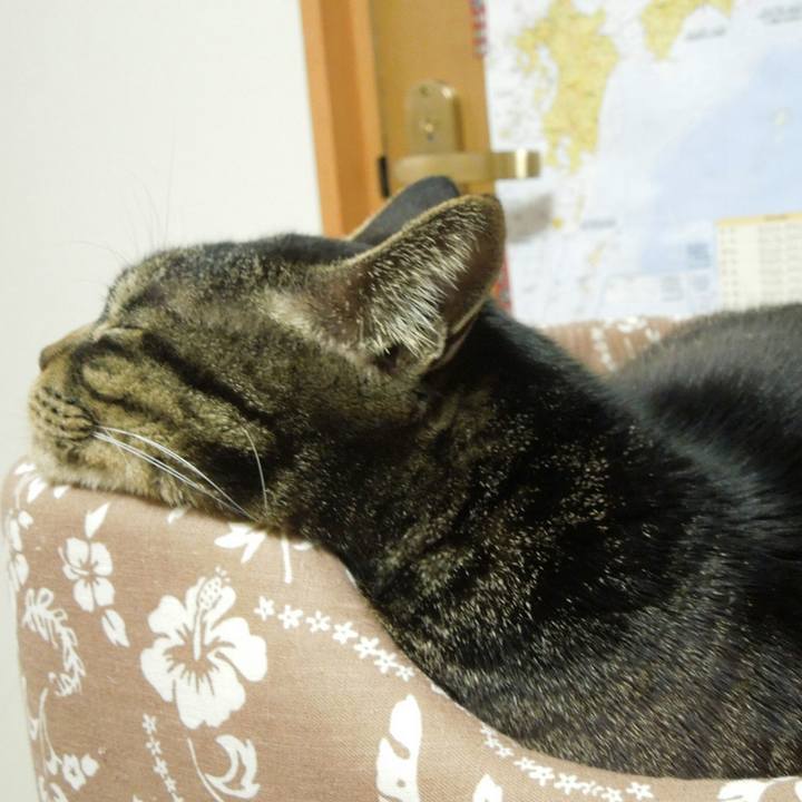 15f8a73f 7b76 4d4a 99c3 7108d2ca72f4