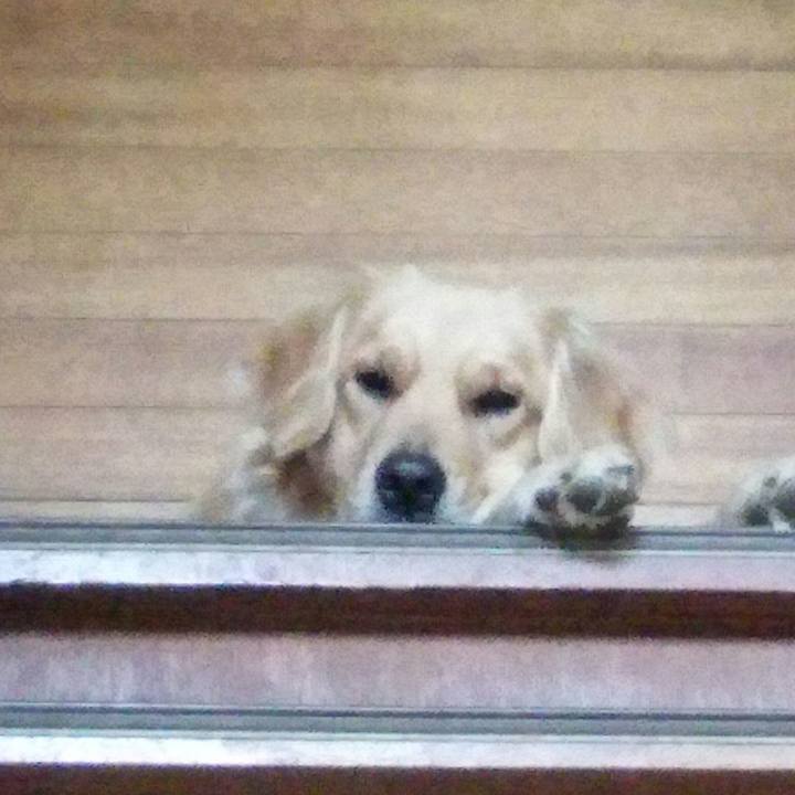 15f8df21 4592 4954 abb1 5b32b9bd53f3