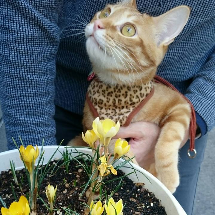 15f9d94d 4e59 4870 b37c d3b39d2a2a12