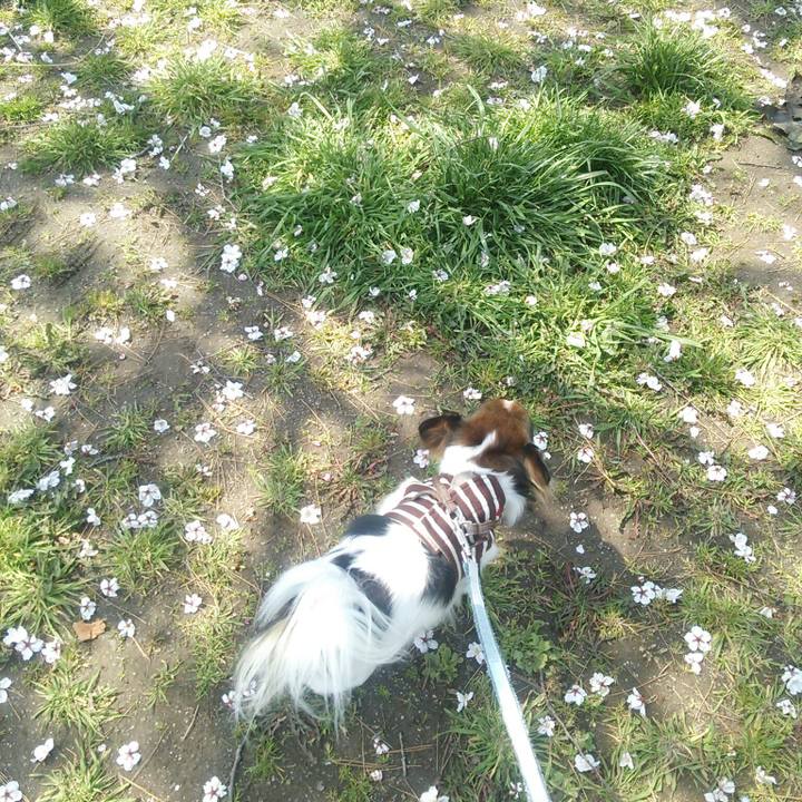 15f9efc0 d014 4422 80a4 3b3d95bd8397