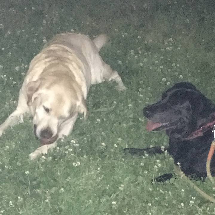 15fa61cf e0d3 4090 bbbf a3f4fb301a0c