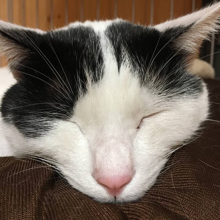 15fa6ca8 fd4f 4177 b538 600e20c00905