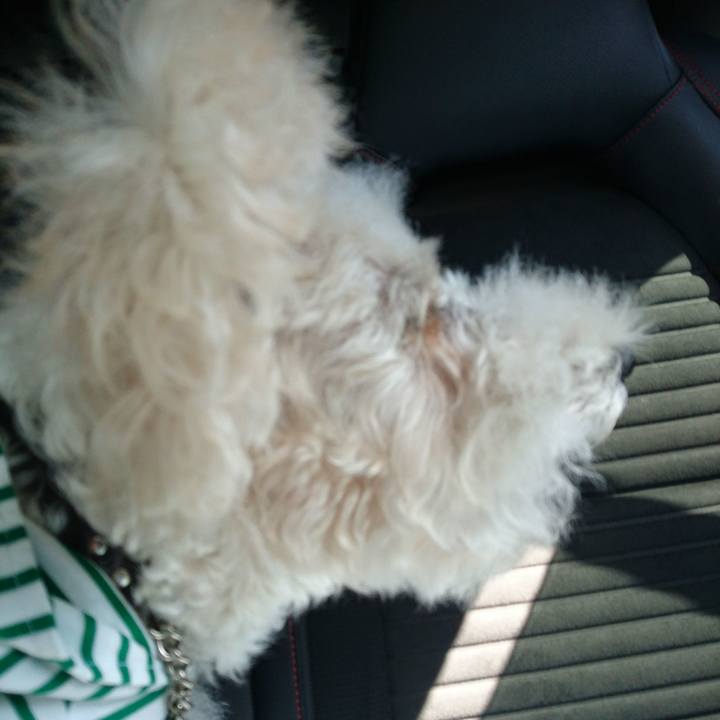 15fa97ea acff 4adc 93d6 cd25c5923082