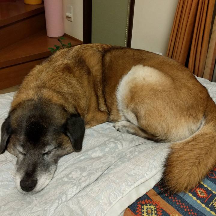 15fa9924 0ea7 47dd bd16 221909da015d