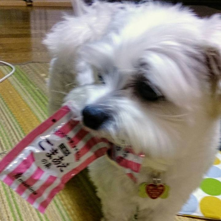 15fabf30 6585 45bb 8f16 1c94c5baaa2c