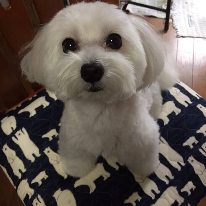 15facd94 4c32 4e67 8eb6 5265f6af1a21