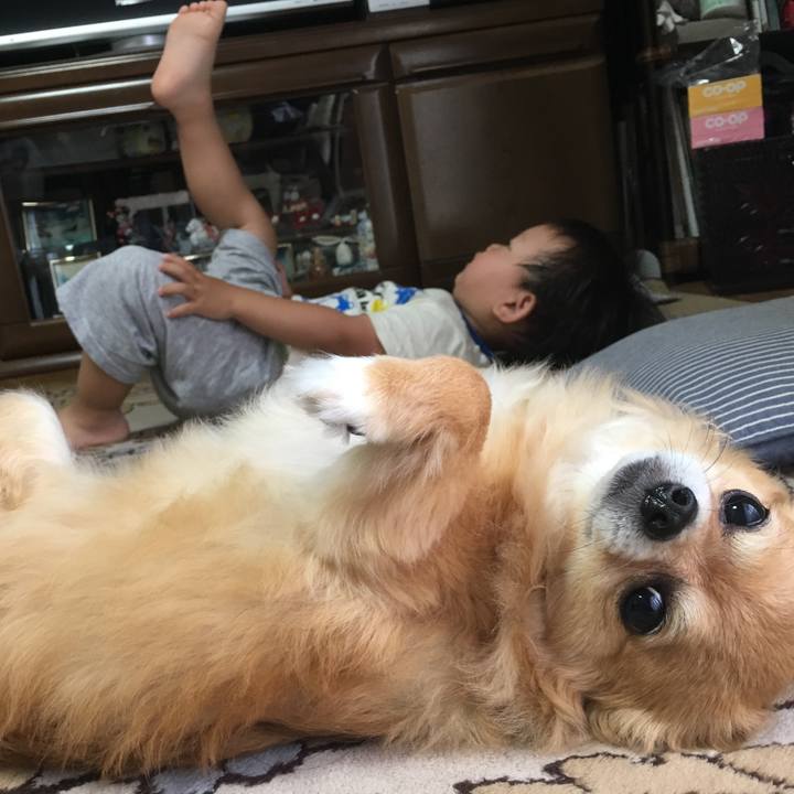 15faff61 f736 4bbb a913 2fcba5f1e0e4