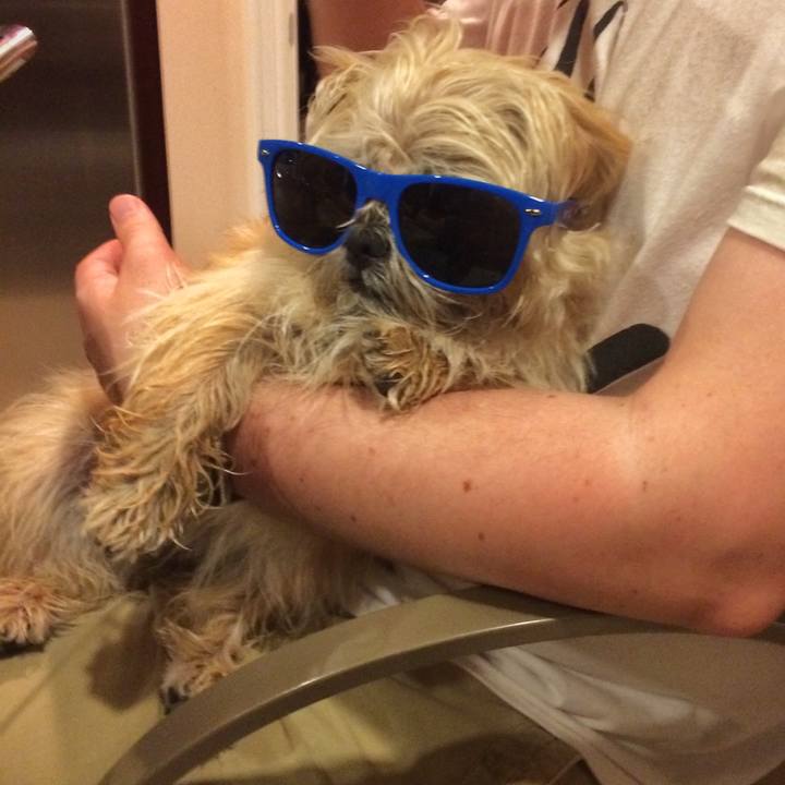 15fb8acc e184 4552 8439 6eeee6e4ed3c