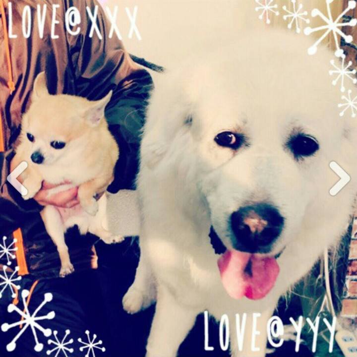 15fbbfb4 df3e 4851 90ce 9c59764115c5