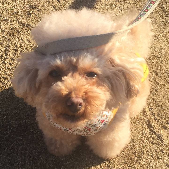 15fbf94f 19ce 44da 9c50 d66d08a9c321