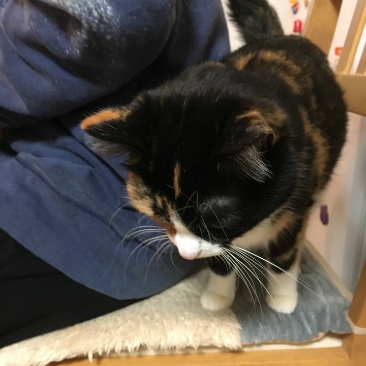 15fc732c cfe2 4f12 a1d5 39a6f346b49b