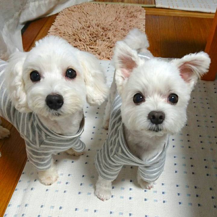 15fc9d96 0cf8 4448 81e7 f77eeb894203