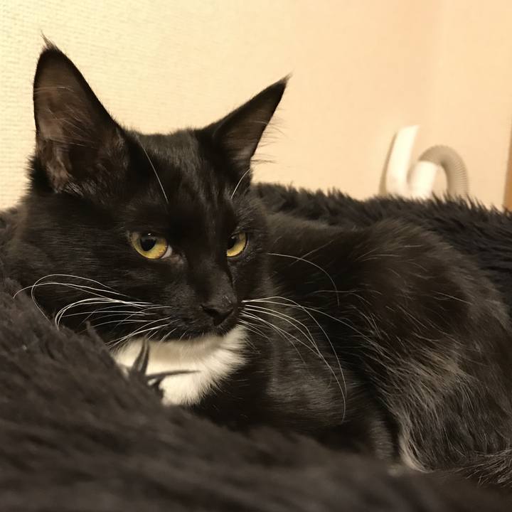 15fcdf27 9a58 4ff4 82c4 a02a46050fd2