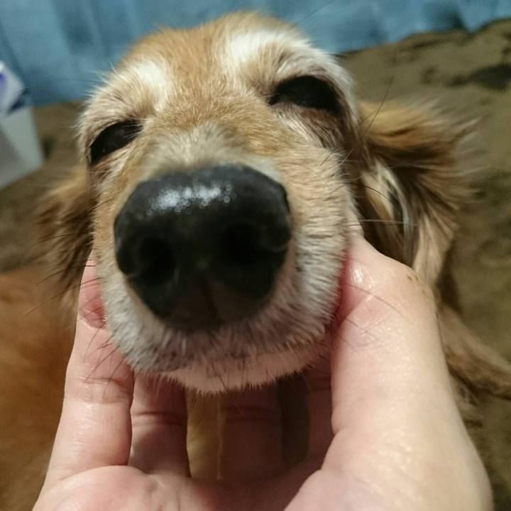 15fdb520 daa7 40f8 a933 429a246f6c84