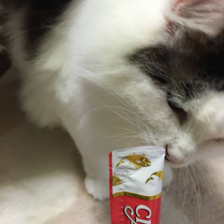 15fdd7d1 c9db 411f a08b c3f8c1bf2477