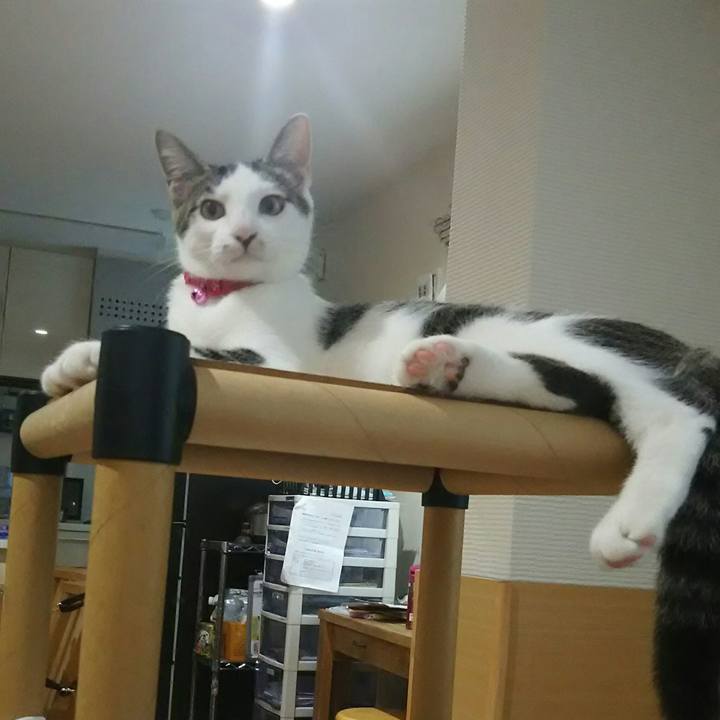 15fe0a8e d06d 4ccb b0b6 b11f089fa9c9