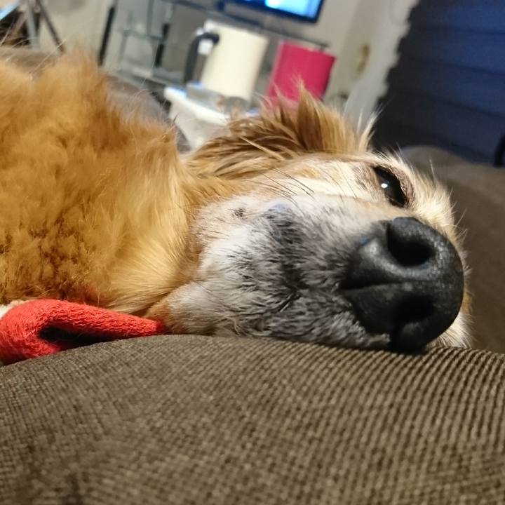 15feb9c6 3fde 4eba b2d7 cb75c7a458ad