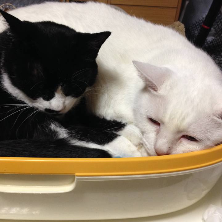 15fed5c5 614c 47d5 9bcc 27cddcc8aca7