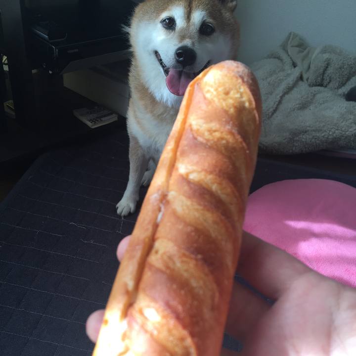 15ffe2af c5d6 4854 a1a1 3afdd0f70991