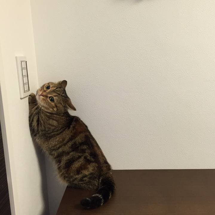 16006937 5859 483a b887 428951326076