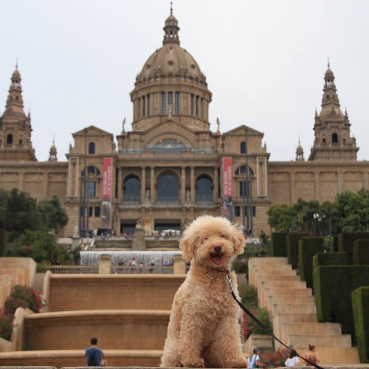 16006b2f 9ba3 40ff 9aac 975b78752067