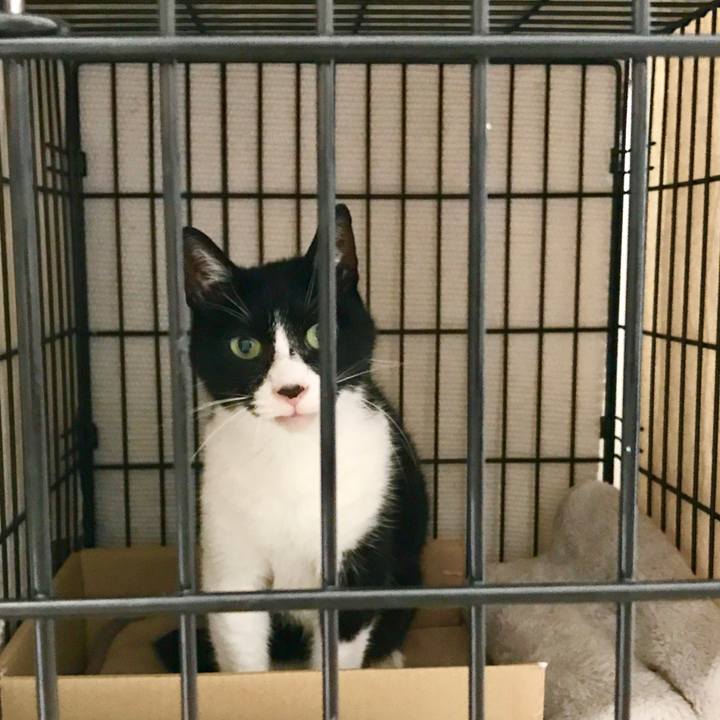 1601809e cf15 4106 8b05 4fde50bbf0a8