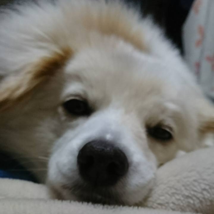 160257e7 ee6d 4133 95c6 fd9aad737de0