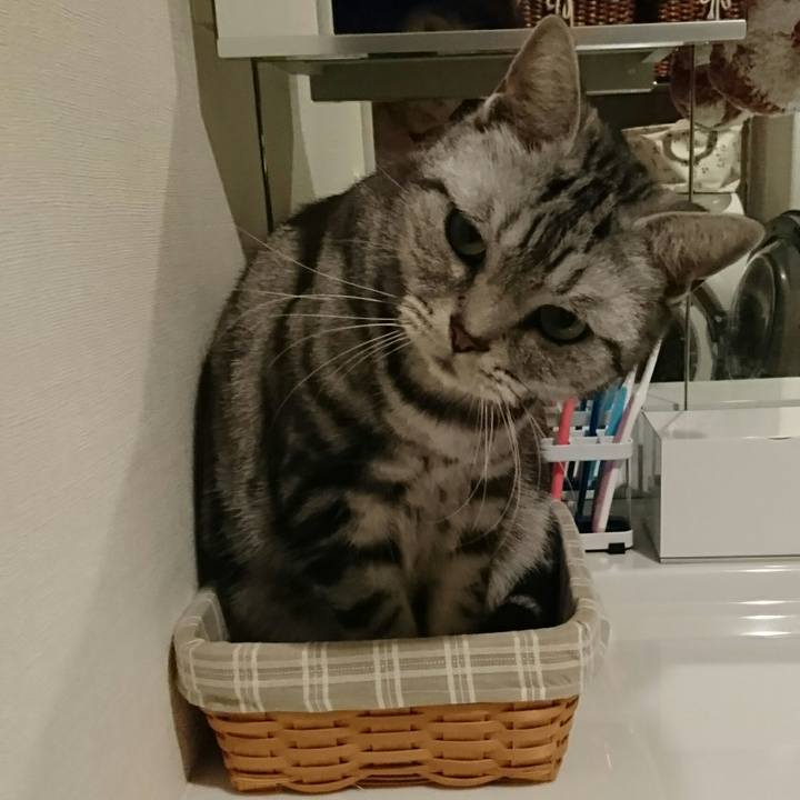 1602adce 1cc3 456a 9960 109605237720