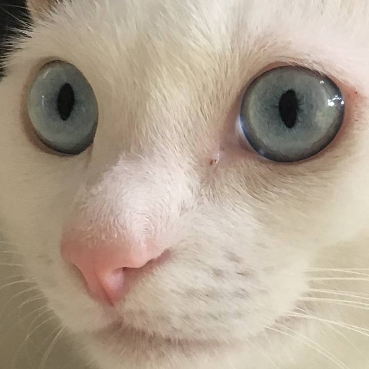 1602db16 73f5 4d66 9a3c ca20aa43331e