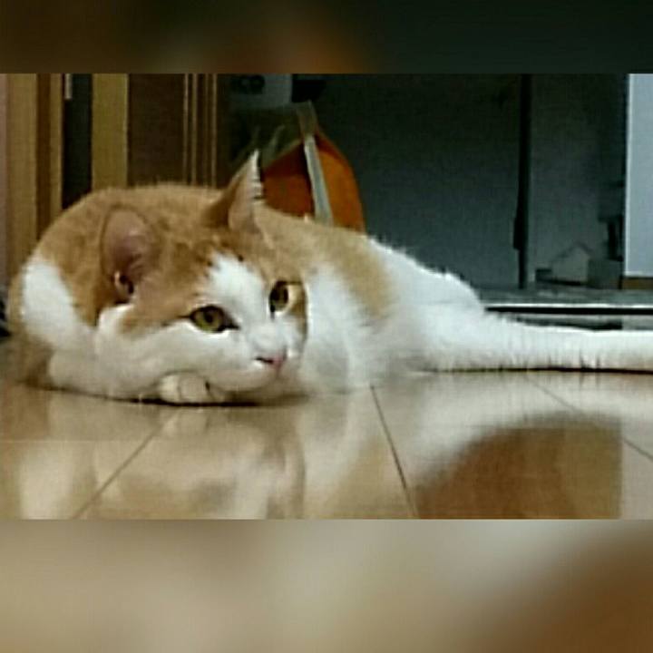 1603858d c6c0 4412 a667 9643b95b9aac