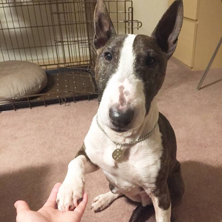 160403ed 6160 441d b76d 9f90270960c7